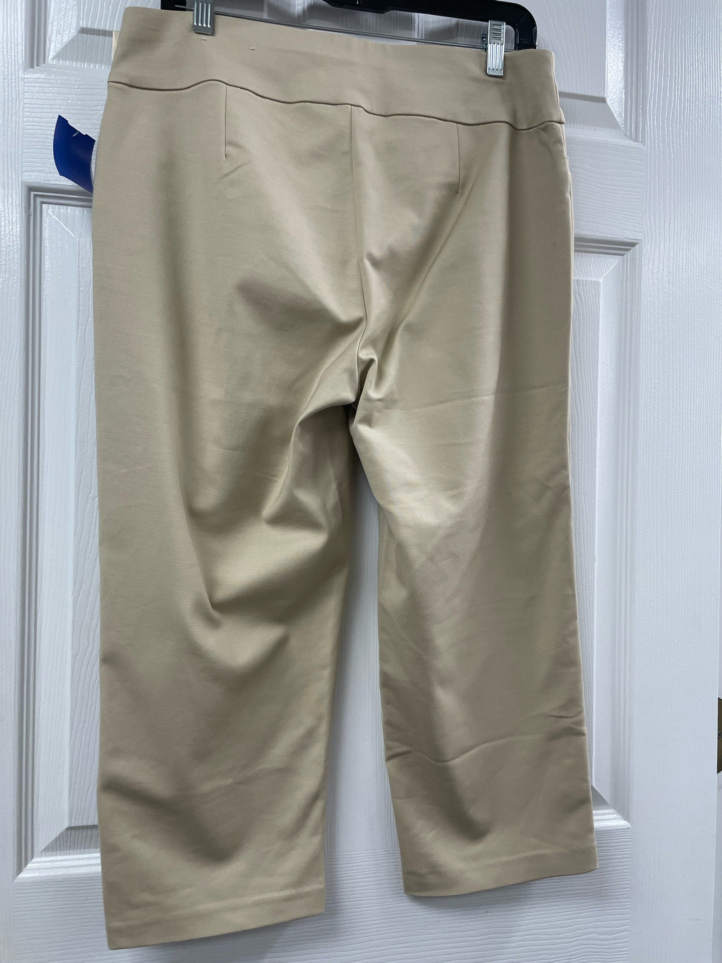 Size 10 Christopher & Banks Capri