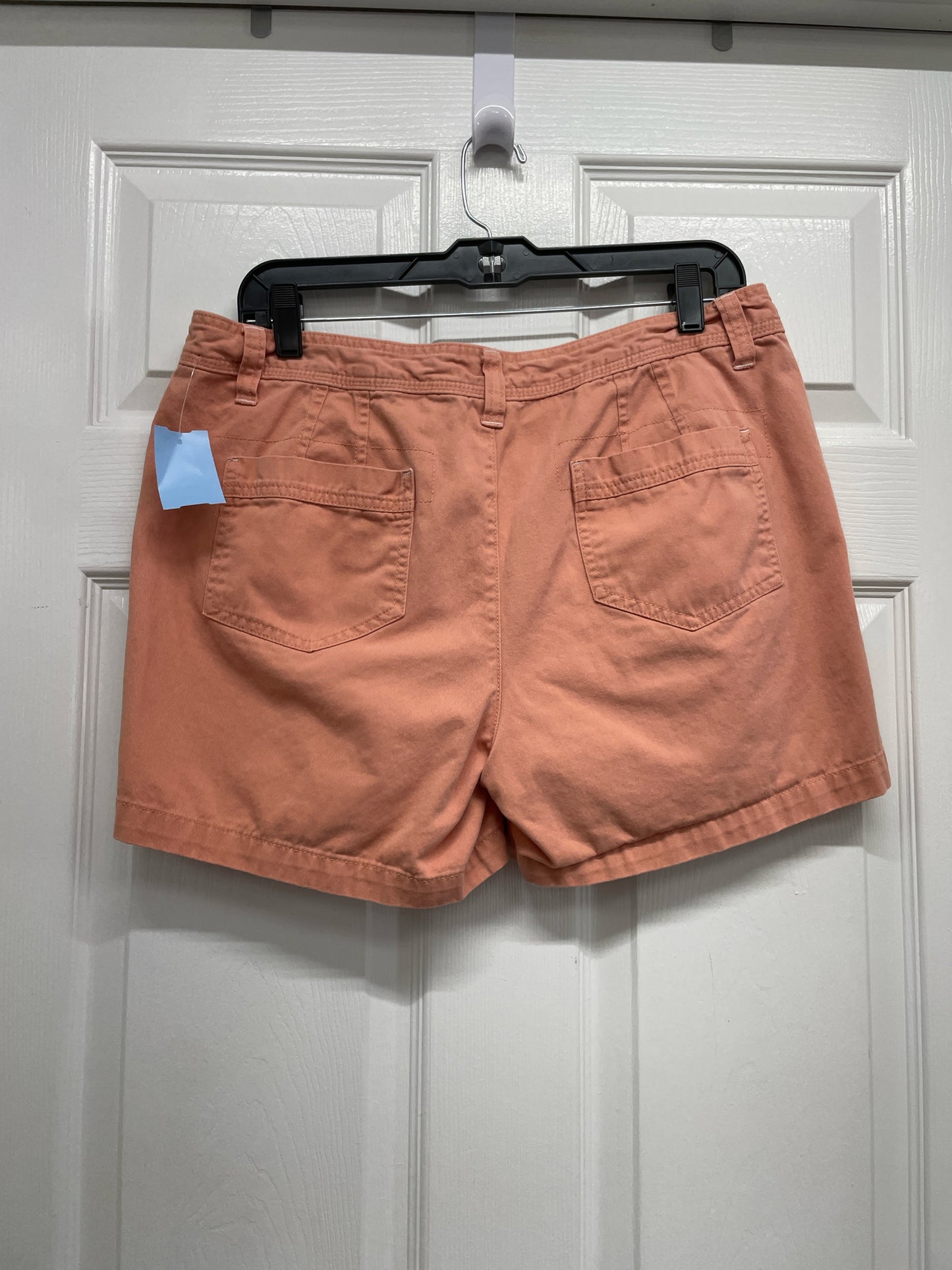 Size 12 Natural Reflection Shorts