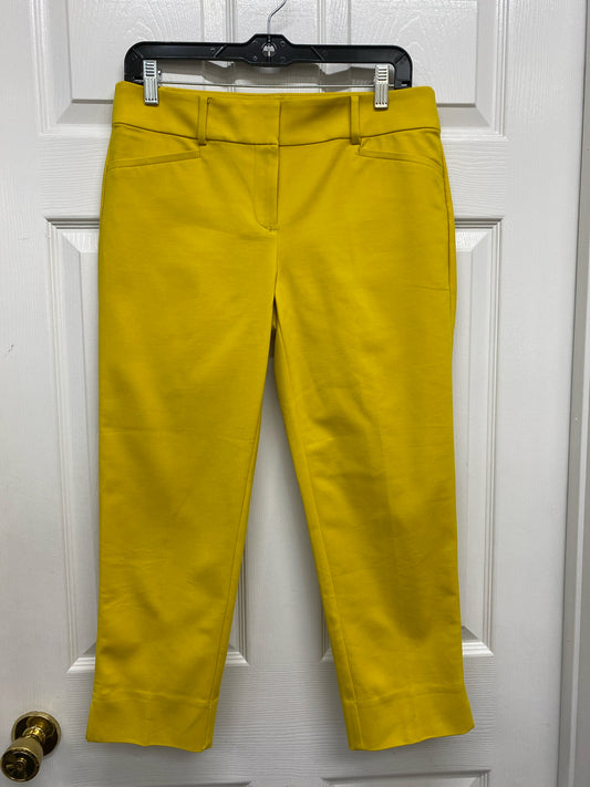 Size 6 Petite Loft Pants