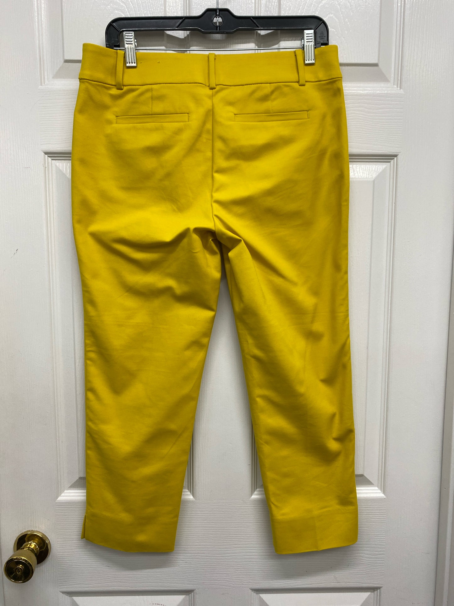 Size 6 Petite Loft Pants