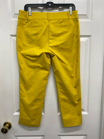 Size 6 Petite Loft Pants