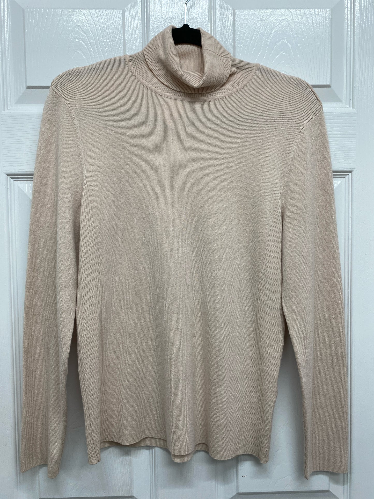 Size L/12 Chico's Turtleneck