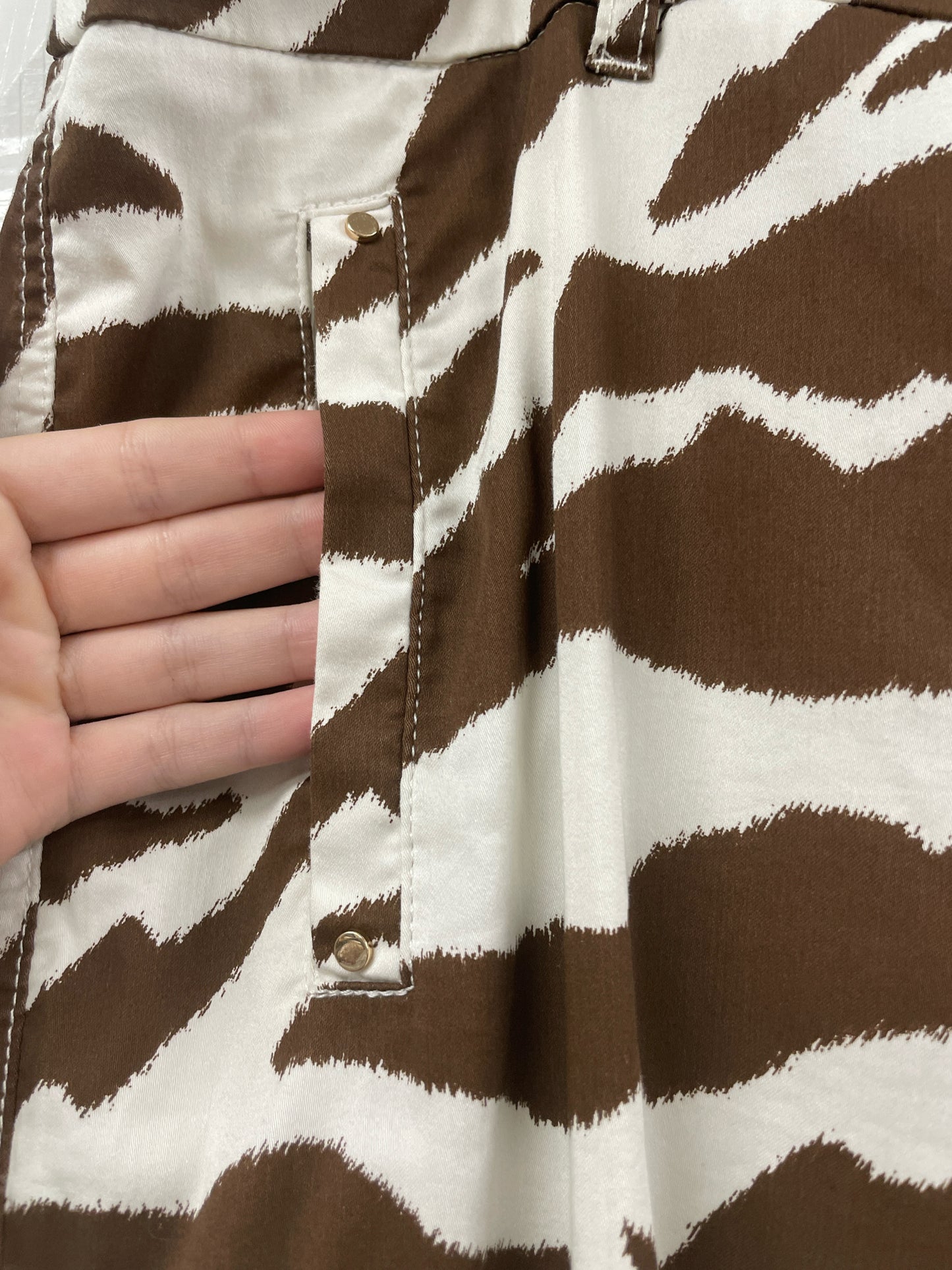 Size 18 Chico's Pants