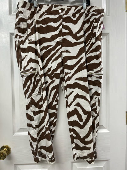 Size 18 Chico's Pants